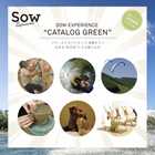総合版カタログGREEN