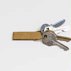 TM key clip