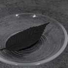 HA KO Black Box
