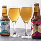 【CRAFT X】IPA飲み比べプレミアムギフト 4瓶