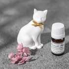 AROMA ORNAMENT