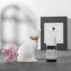 AROMA ORNAMENT