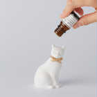 AROMA ORNAMENT