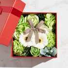 バスフレグランスボックス 花の入浴剤 | カラー | Red box