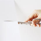 THE SCISSORS ハサミ