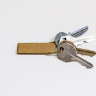 TM key clip