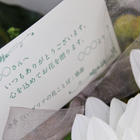 ことばの花箱 白ダリア(感謝)