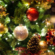 クリスマスのお部屋の飾り付けはこれで決まり!簡単、おしゃれなおすすめアイテム