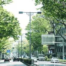 イケてるギフト選びはココで!【表参道・外苑前】エリアの人気ショップ特集