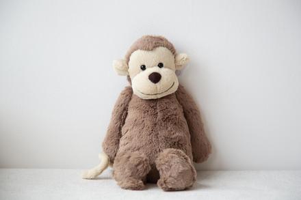 Bashful Monkey M