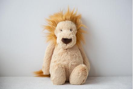 Bashful Lion M