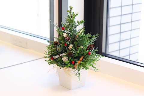 クリスマスミニツリー