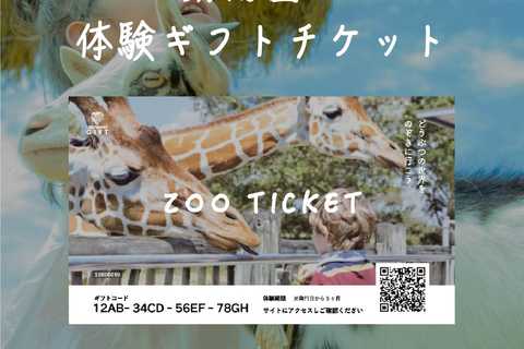 ZOO TICKET