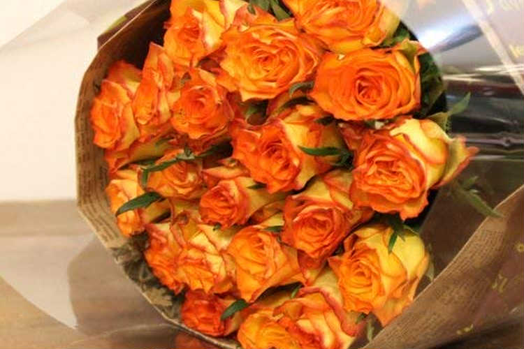 父の日に黄色のバラを贈る意味 花言葉と父の日の由来を知って贈る感謝のプレゼント Anny アニー
