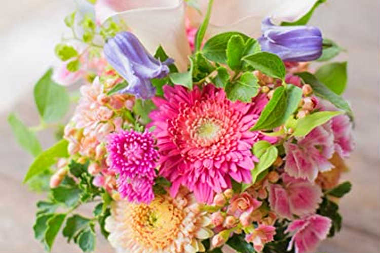 退院祝いに贈る花のプレゼント 知っておきたいタブーなお花 おすすめのお花 Anny アニー
