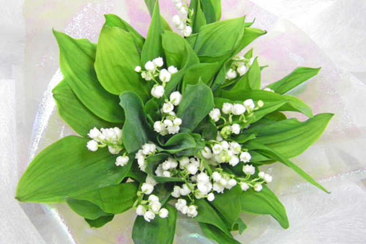 結婚祝いのお花プレゼント特集 人気ギフトと花言葉 意味を紹介 Anny アニー