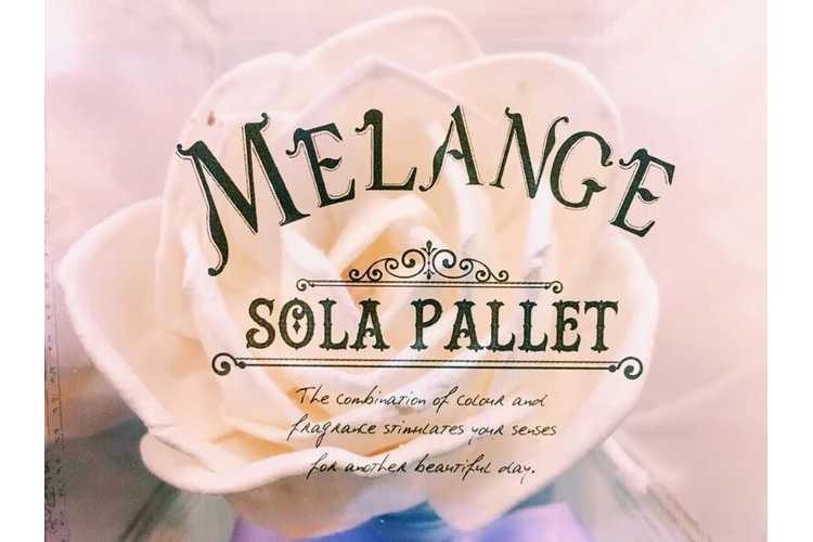 Sola Pallet Melange お花が咲くディフューザーのプレゼント ギフト通販 Anny アニー