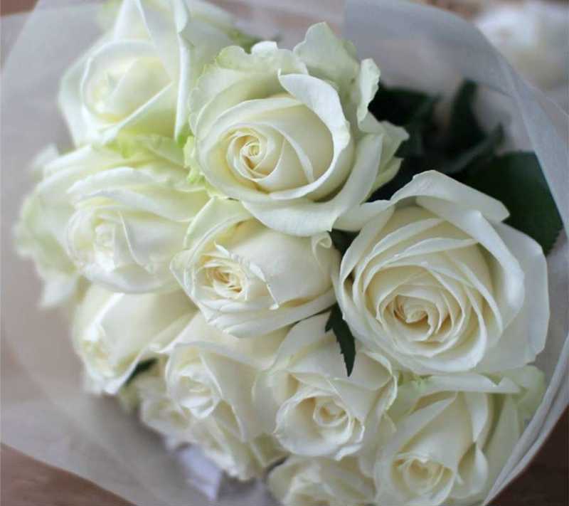 ホワイトデーにお花を 色めくギフトで彼女に言葉と気持ちを贈ろう Anny アニー