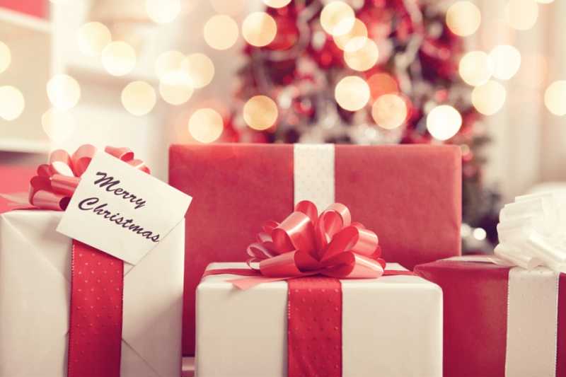 孫へのクリスマスプレゼント 喜ばれるアイテム特集 Anny アニー