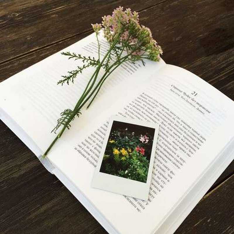 新社会人のお祝いに オンオフで役立つ 本 のプレゼントはいかが Anny アニー